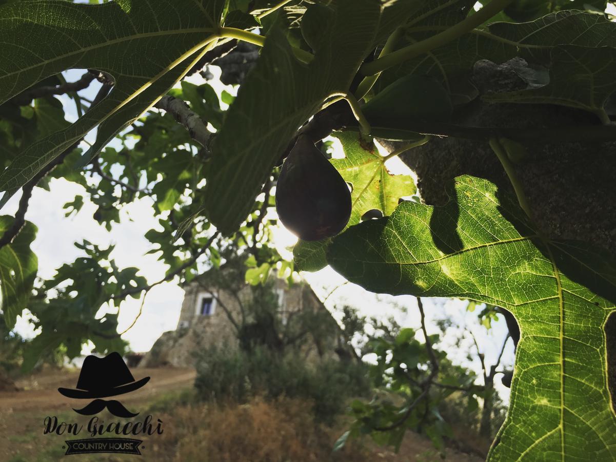Don Giacchi Country House Catanzaro Kültér fotó